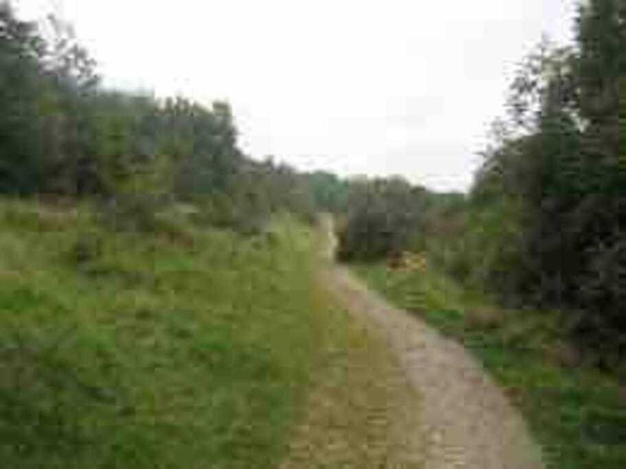 Вилла The Loft At The Croft - Stunning Rural Retreat Perfect For Couples & Dogs Leigh  Экстерьер фото
